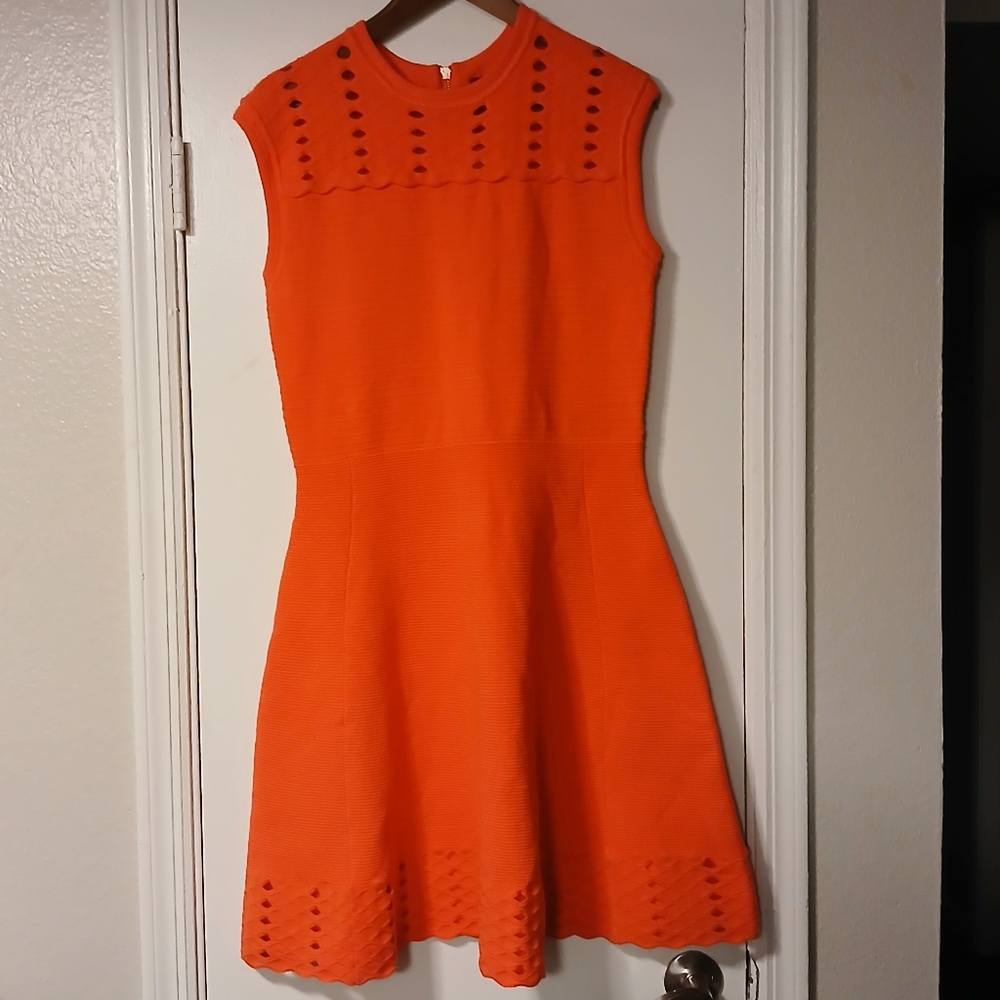 Ted Baker London Zaralie Skater Dress